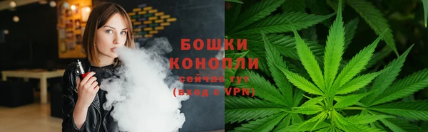 ешки Няндома