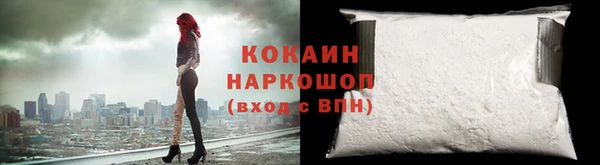ешки Няндома