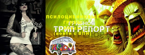 мет Нягань