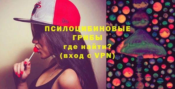 ешки Няндома