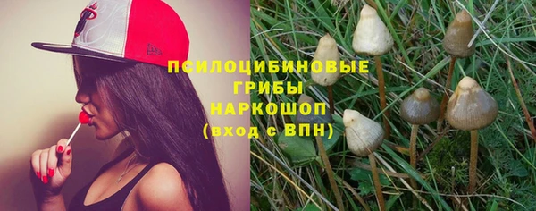 ешки Няндома